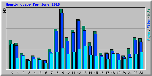 Hourly usage for June 2016