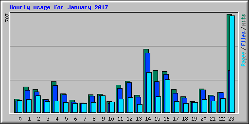 Hourly usage for January 2017