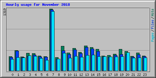 Hourly usage for November 2018