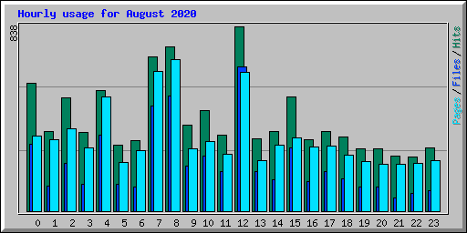 Hourly usage for August 2020