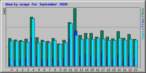 Hourly usage for September 2020