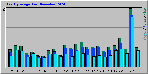 Hourly usage for November 2020