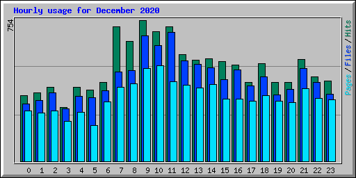Hourly usage for December 2020