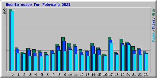 Hourly usage for February 2021