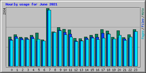 Hourly usage for June 2021