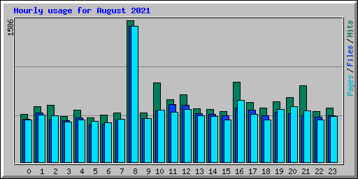 Hourly usage for August 2021