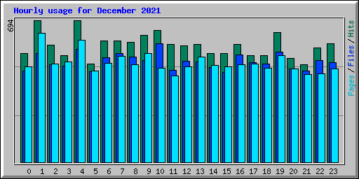 Hourly usage for December 2021