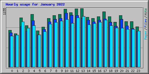 Hourly usage for January 2022
